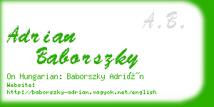 adrian baborszky business card